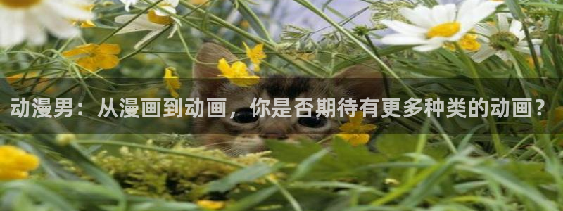 动漫共和国(omofun)