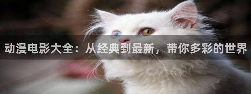 omofun动漫在线观看动漫最新版本更新