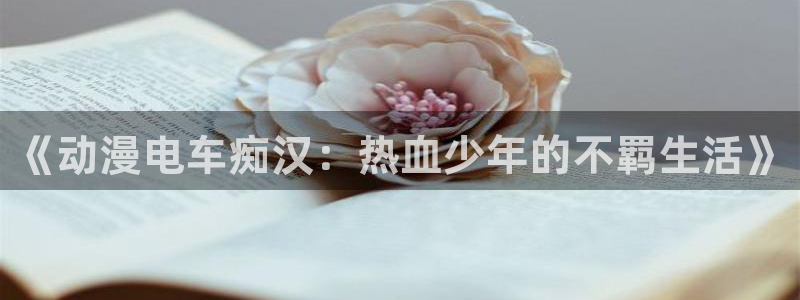 omofun动漫官方下载app：《动漫电车痴汉：热血少年的不羁生活》