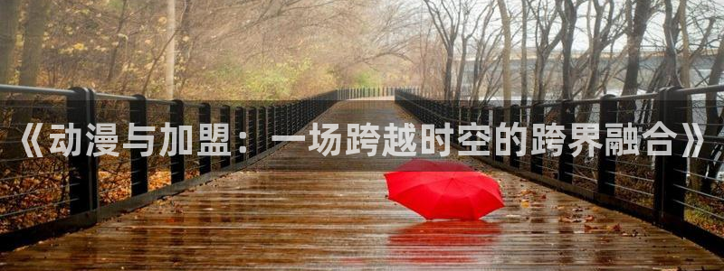 omofun动漫官网最新版：《动漫与加盟：一场跨越时空的跨界融合》