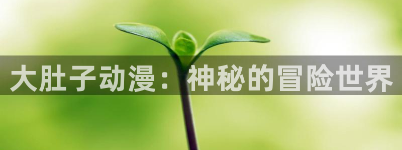 omofun动漫网站：大肚子动漫：神秘的冒险世界