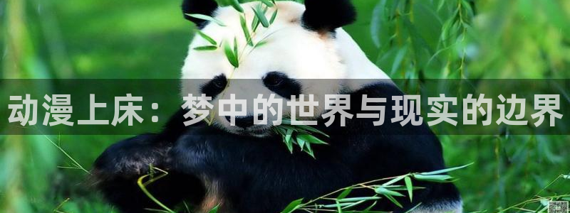 omofun动漫共和国下载最新版本：动漫上床：梦中的世界与现实的边界
